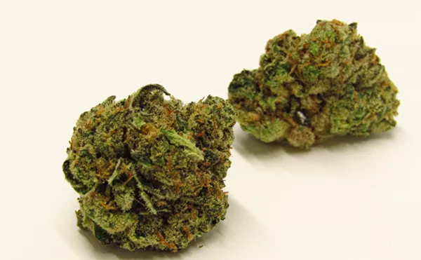 Why Colorado Tokers Love Jungle Cake