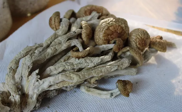 Ask a Stoner: Will Psychedelics Become Commercialized Like Weed?