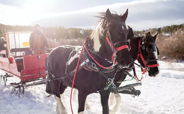 Get Outside: Ten Enchanting Winter Sleigh Rides in Colorado