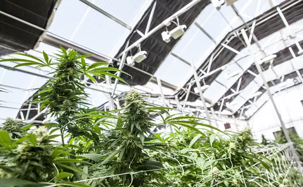 Five New Year's Resolutions for Colorado Cannabis