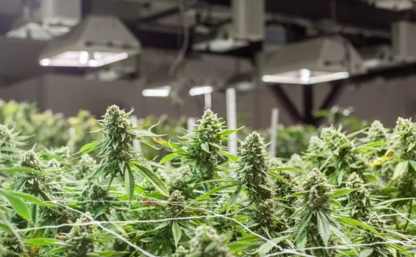 Colorado Launches Energy Reduction Program for Marijuana Growers