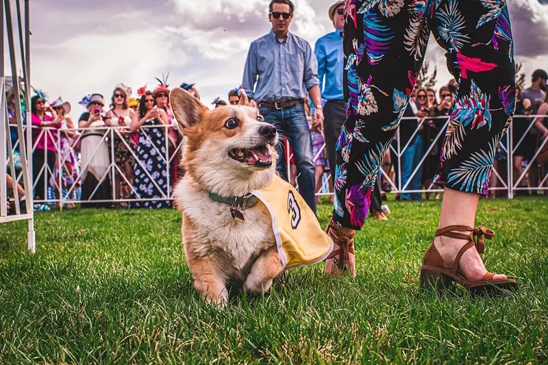 Things to Do in Denver This Weekend, May 58, 2022 Westword