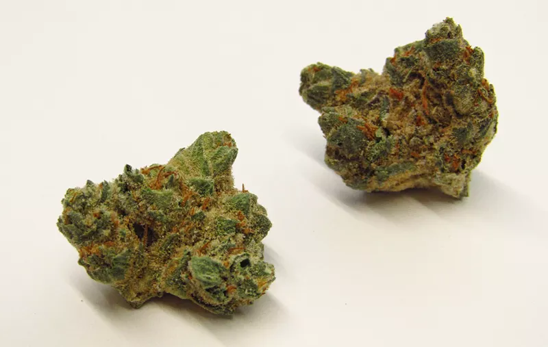 Lost Cause Strain Review Westword