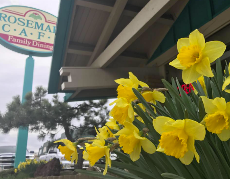 Jelly Owner to Open Harvey Park Grille at Former Rosemary Cafe Location Westword