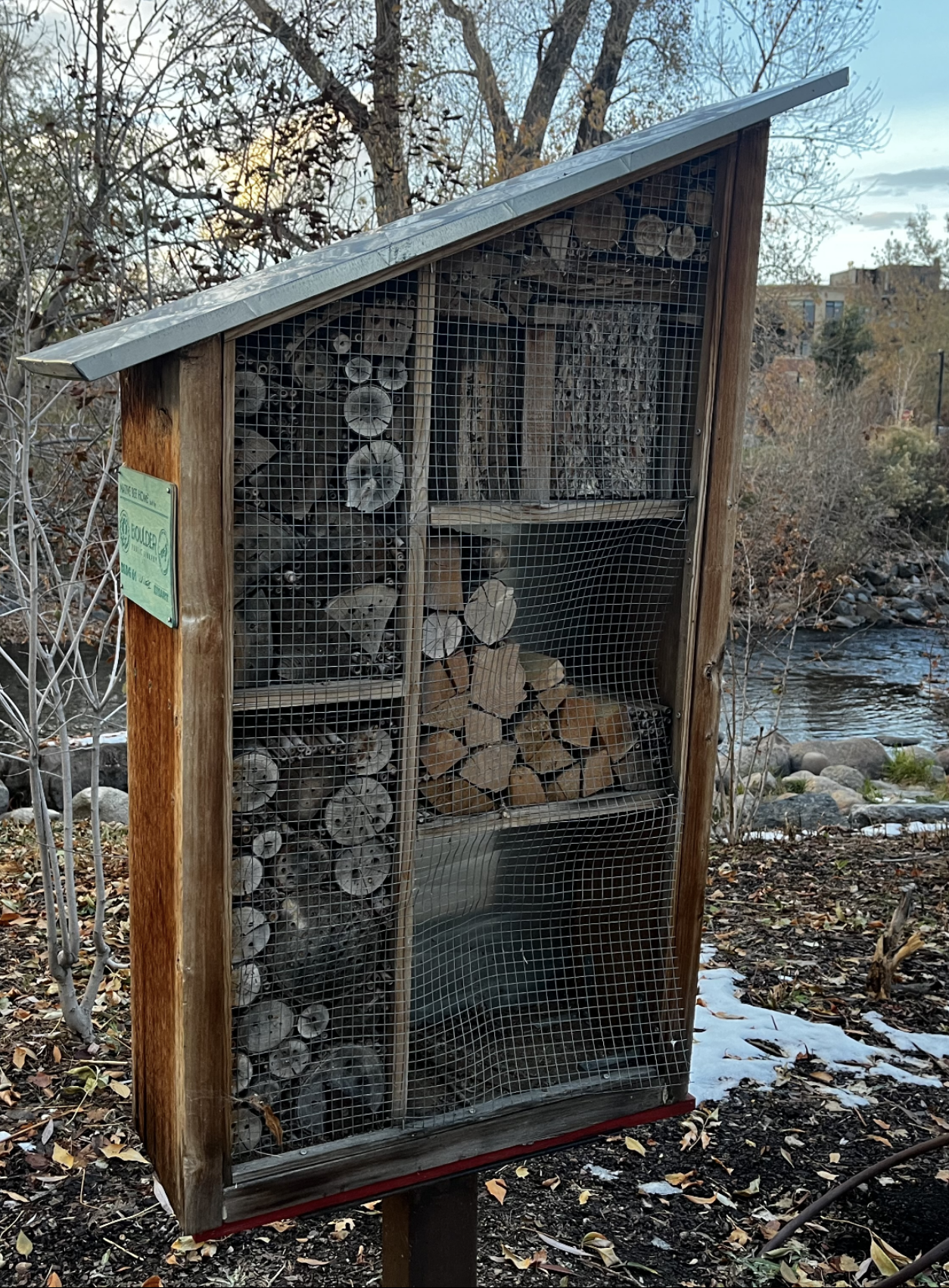 Buzz Off: How the Focus on Saving Honey Bees Could Sting Colorado's ...