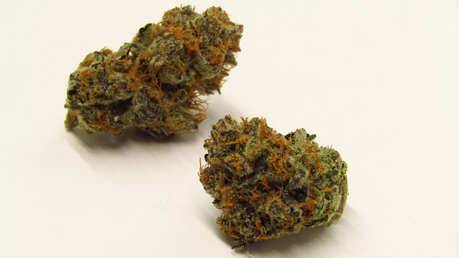 Mandarin Temple Strain Review Westword