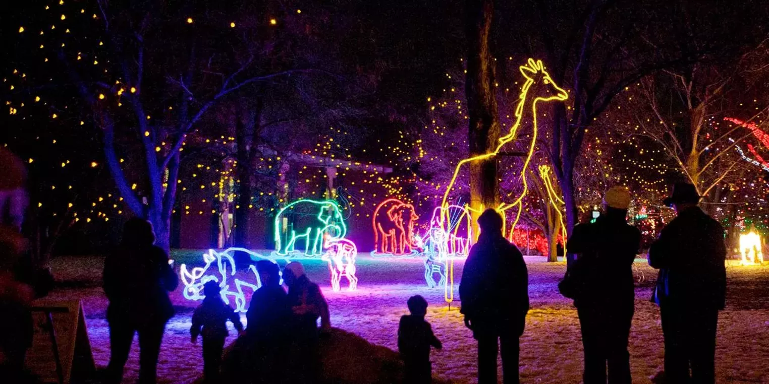 More Things To Do In Denver This Weekend December 2 To 5 2021 Westword