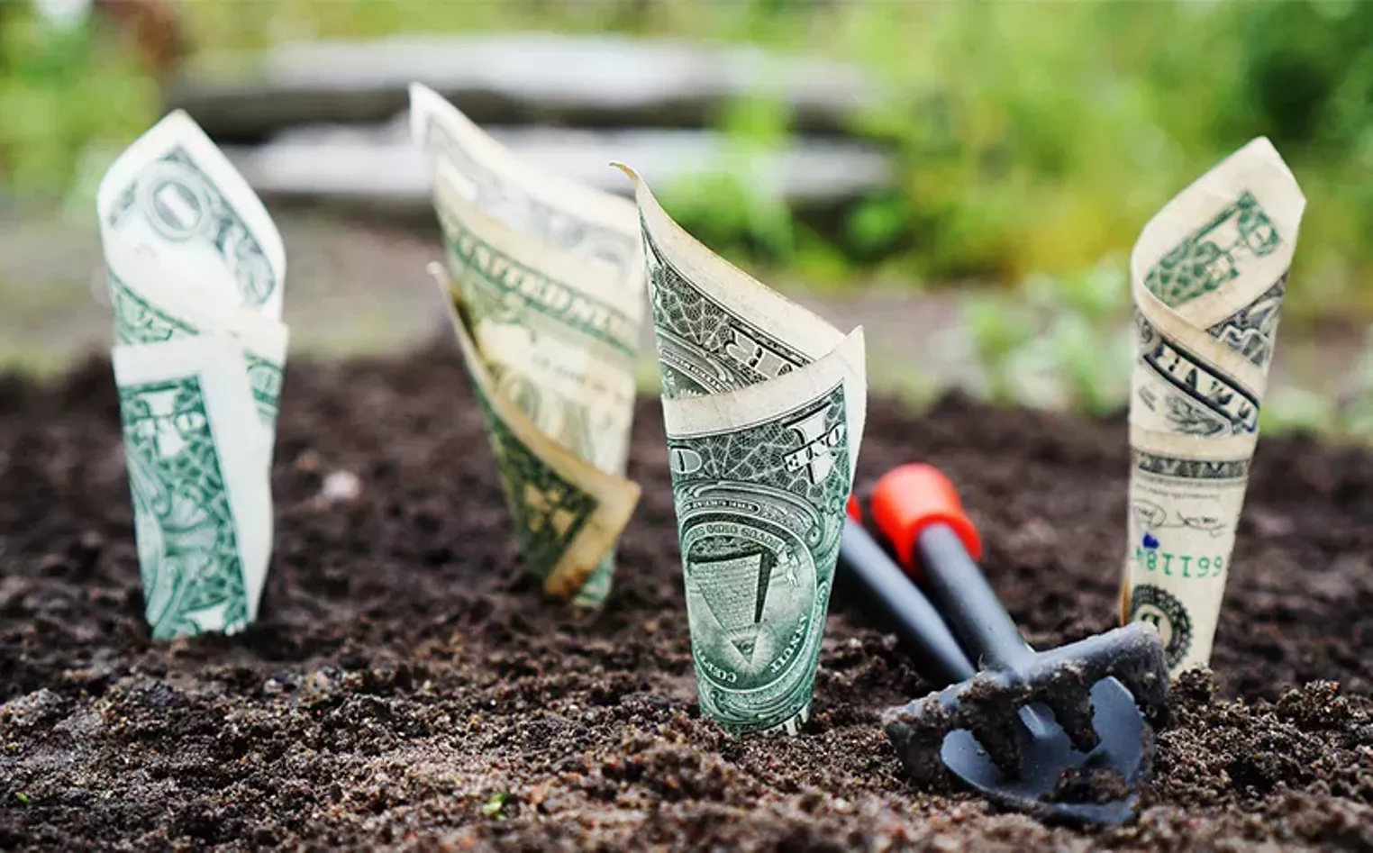 Bloxe Banking: A Comprehensive Financial Platform Transforming How Businesses Engage with Banking and FinTech Solutions - Vimarsana News