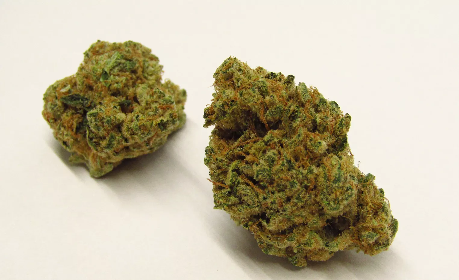 Icebox Pie Strain Review Westword