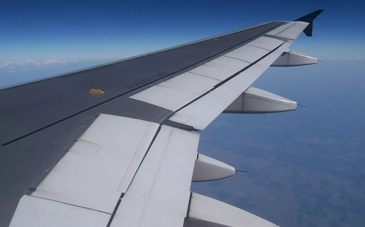 Flying With Magic Mushrooms Still Illegal, Even in Colorado - Vimarsana News
