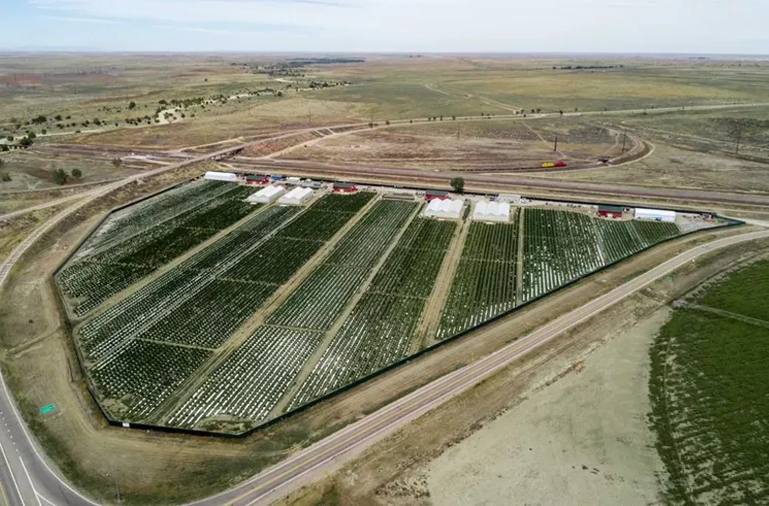 Curaleaf Sells Colorado Marijuana Farm Los Sueños - Vimarsana News