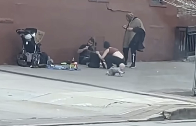More than 116,000 people have watched the @DoBetterDNVR video of a baby crawling toward a Denver street.