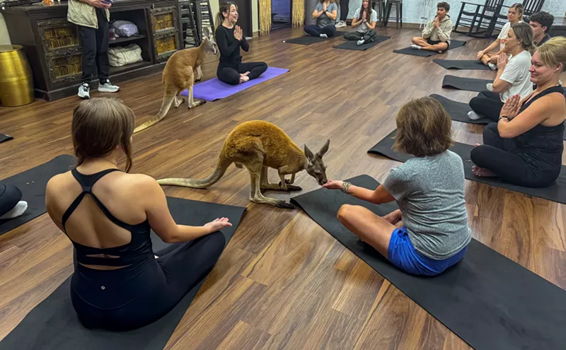 Image: We Tried the New Kangaroo Yoga Class in Wheat Ridge