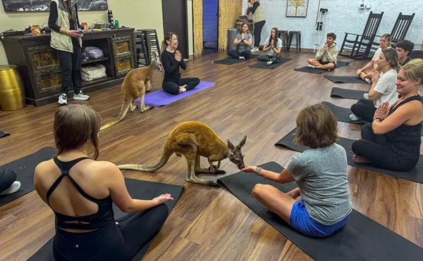 Image: We Tried the New Kangaroo Yoga Class in Wheat Ridge