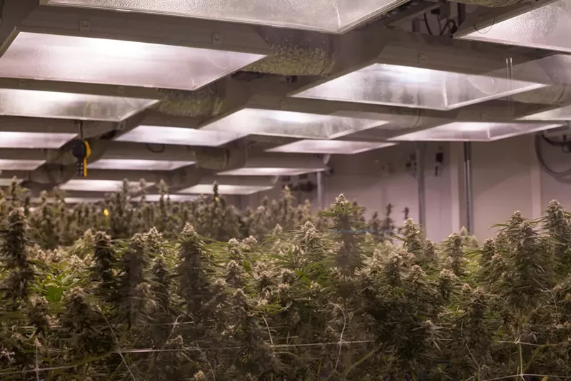 Image: Over $10 billion has been raised across the country from pot taxes, according to a new report.