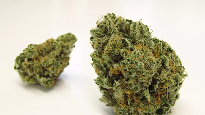 A5 Wagyu cannabis buds