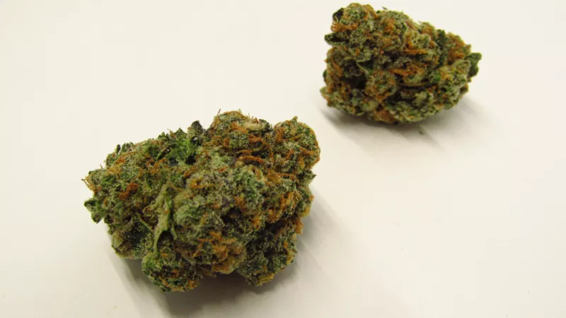 Image: Animal Face cannabis strain