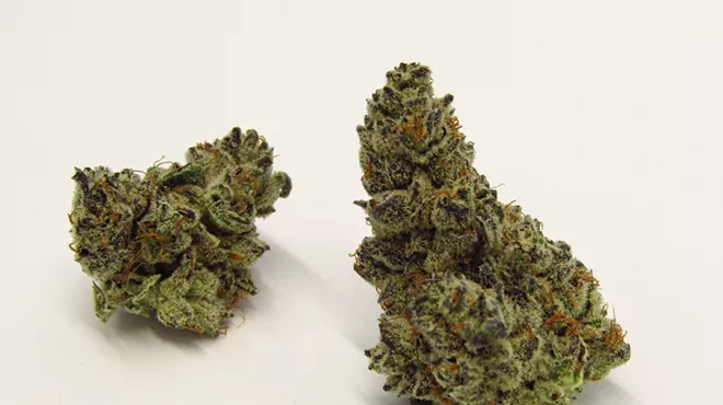 Green cannabis nugs