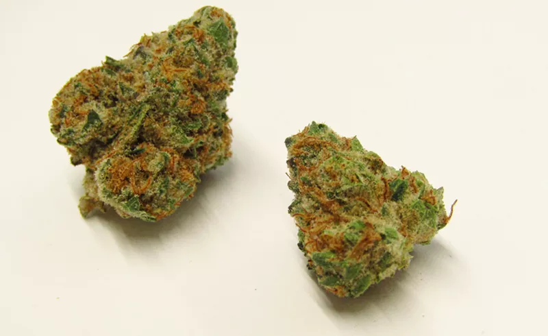 Image: Blue Garlic cannabis strain