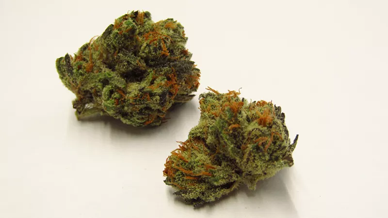 Image: Burkle has been a popular nighttime strain in Colorado since 2017.
