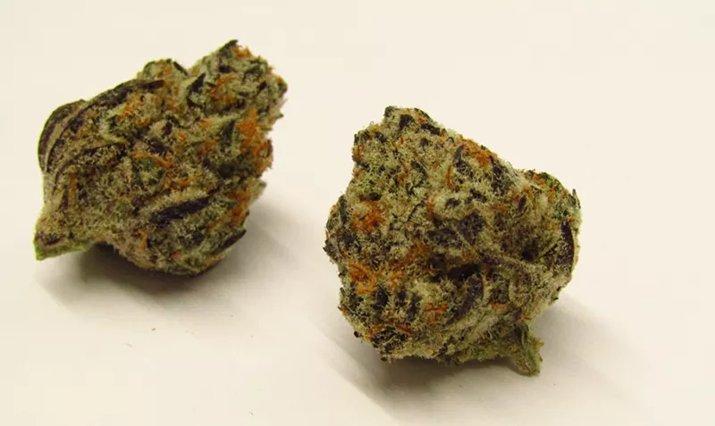 Image: Chimera cannabis strain