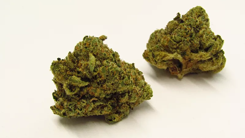 Image: Dolato cannabis strain