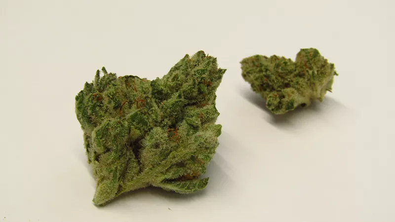 Image: Gummy Worms cannabis strain