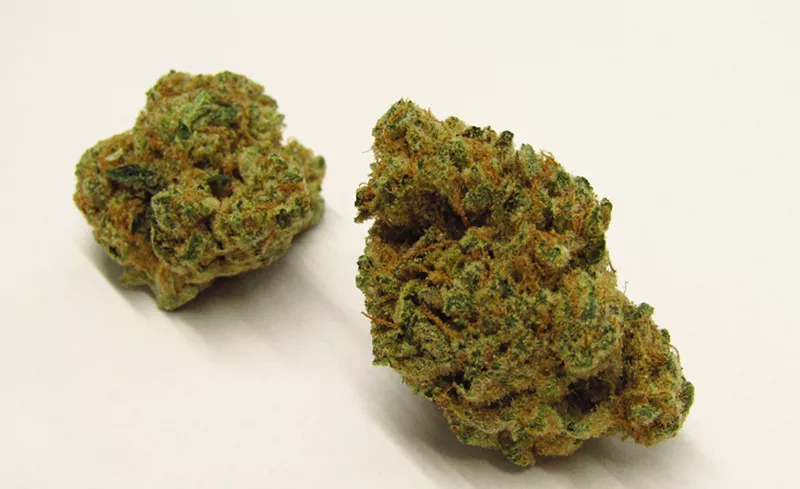 Image: Icebox Pie strain