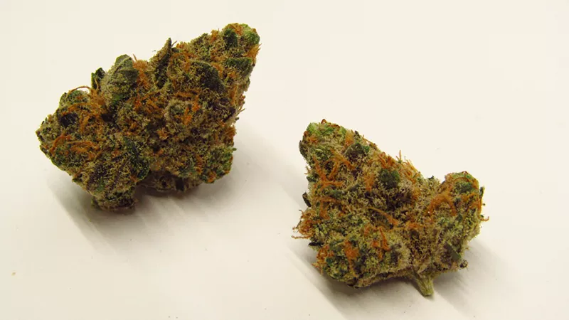 Image: Jelly Pancakes cannabis strain