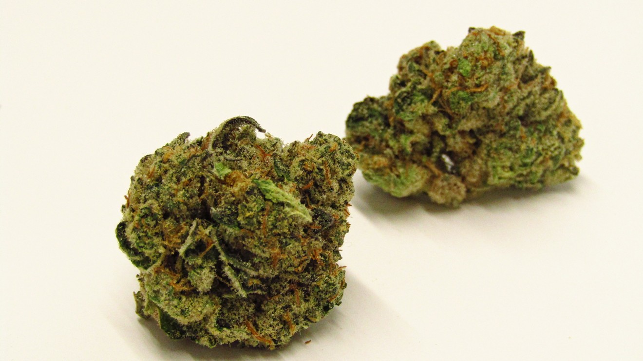 Jungle Cake is one of Denver's most popular new strains.