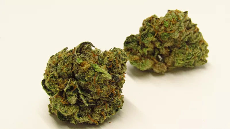 Image: Jungle Cake is one of Denver's most popular new strains.
