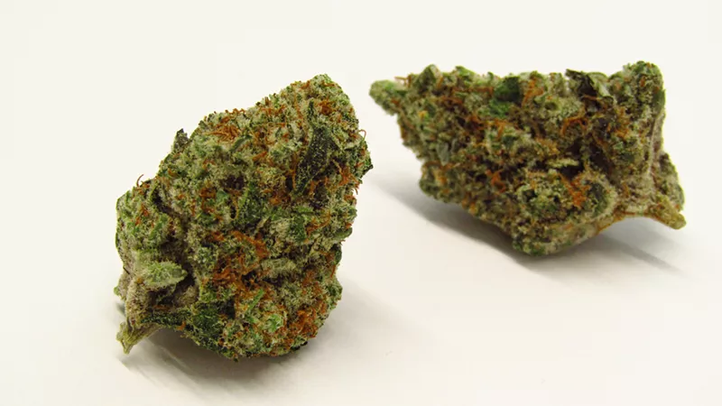 Image: Papaya Runtz strain