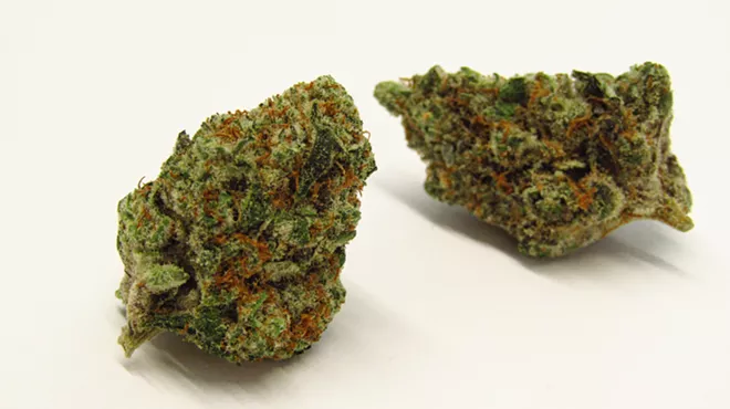 Papaya Runtz strain