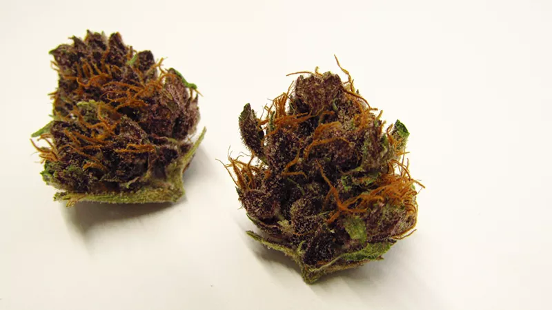 Image: Purple buds of Poontang Pie