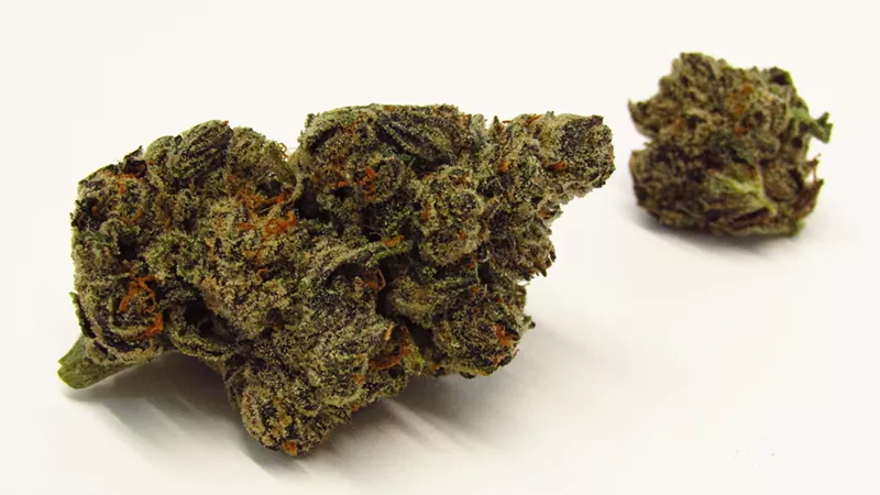Image: Red Bullz cannabis strain