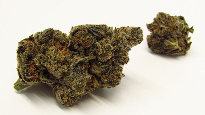 Red Bullz cannabis strain