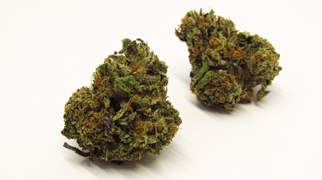 Dark green cannabis buds