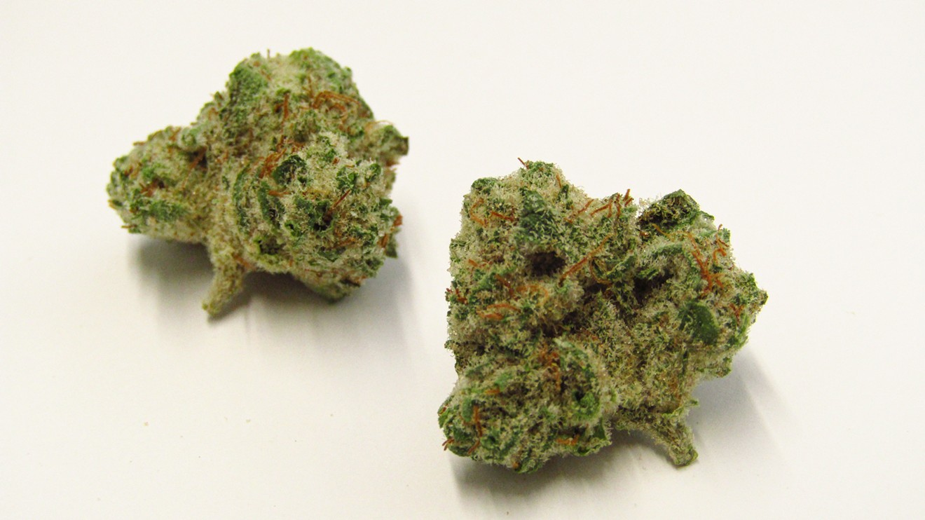 Super Boof Strain Review | Westword