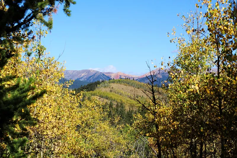 Image: Mountain and tree views on the Colorado Trail near Kenosha Pass.
